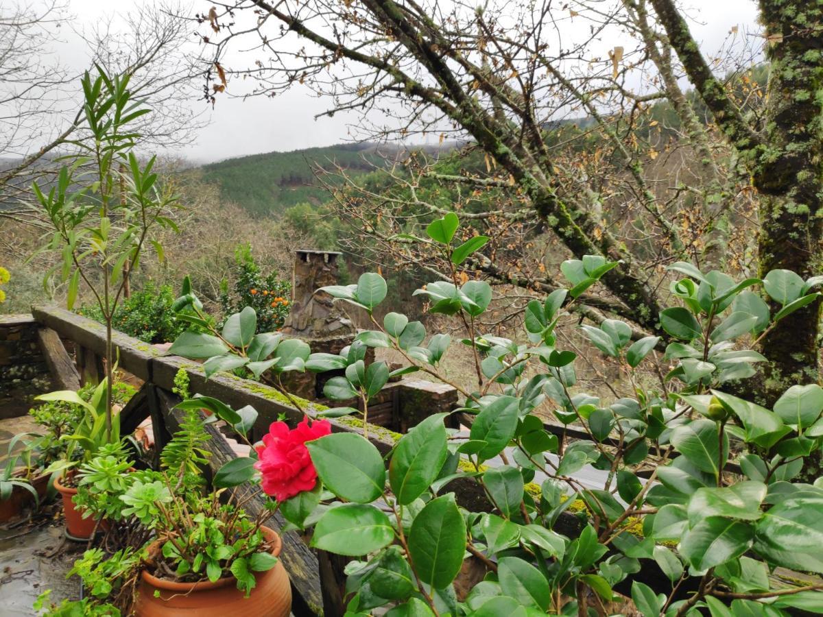 Casa Em Xisto Na Serra Da Lousa, Gondramaz Exterior foto
